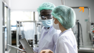 Audyt jakości, audytor