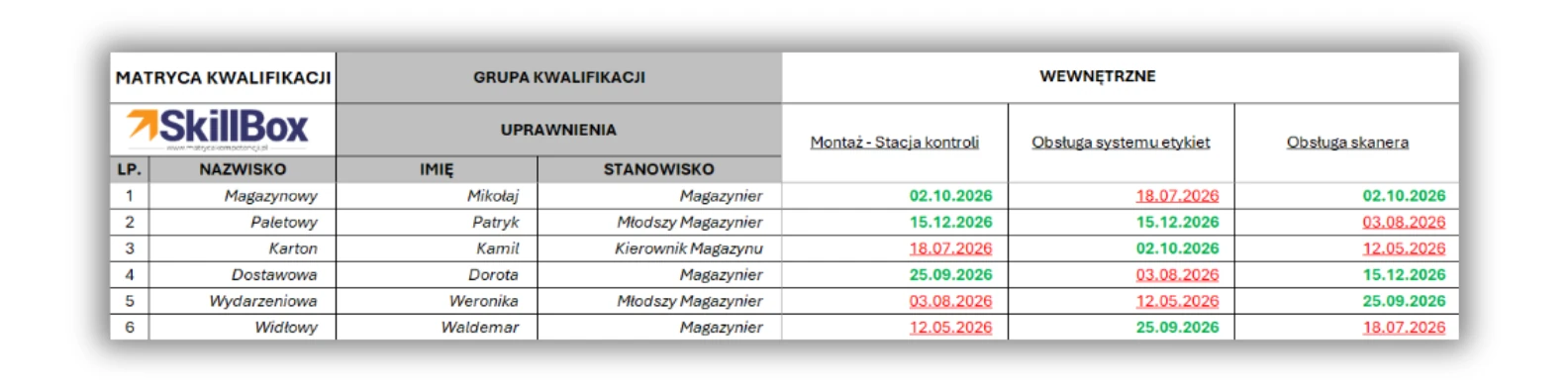 Przykład wypełnionej Matrycy Kwalifikacji w arkuszu kalkulacyjnym